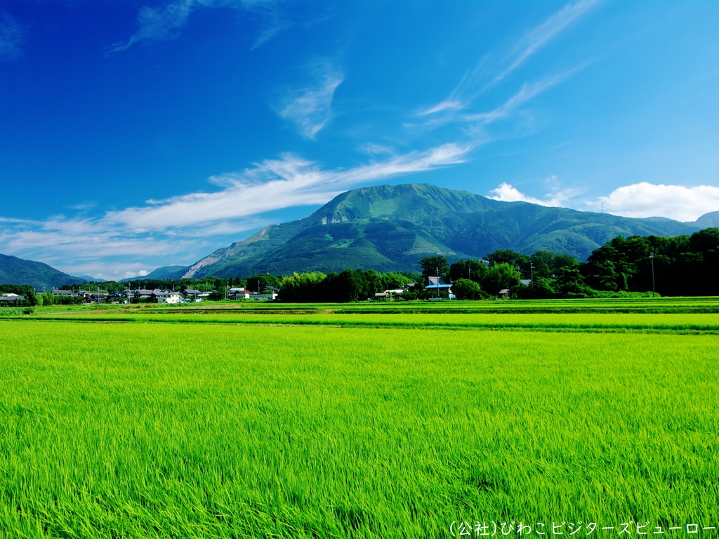 伊吹山